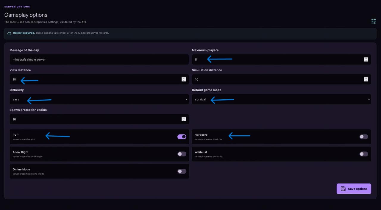 Ametistos Minecraft server Options page with gameplay properties